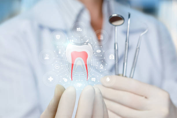 Best Root Canal Treatment  in Polk City, FL
